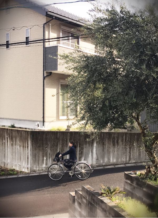 rblog-20180905234712-01.jpg