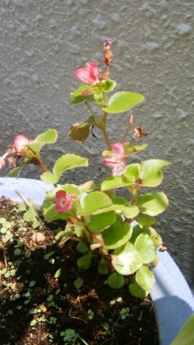 rblog-20180804041944-01.jpg