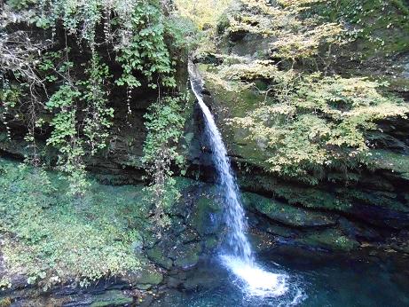 DSCN0706.jpg