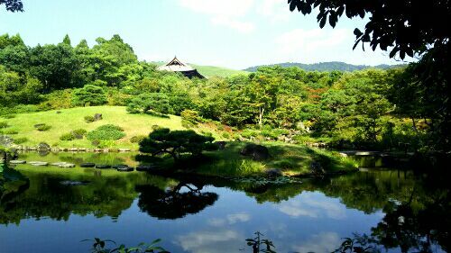依水園20180805