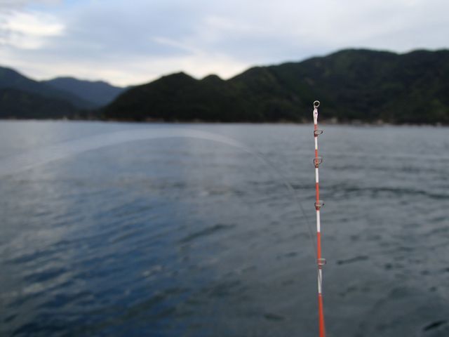 PA060043.jpg