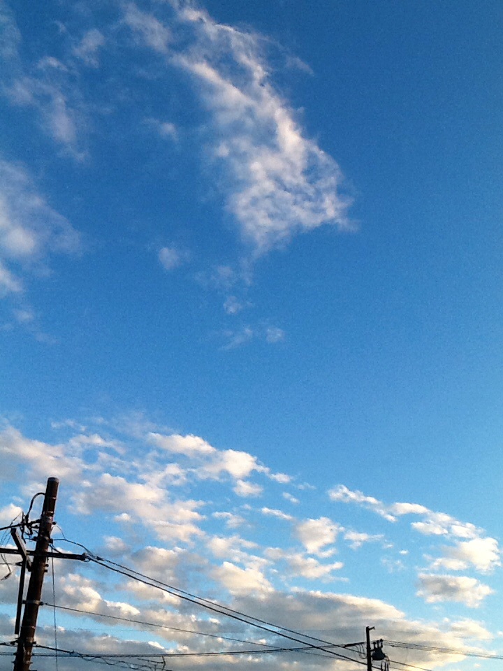台風一過  10月16日