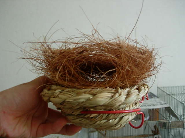 DSCN0062.JPG