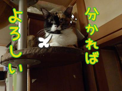 よろしい.JPG