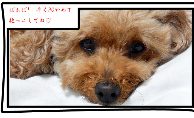 こころ２１