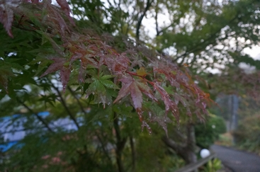 DSC01867.JPG