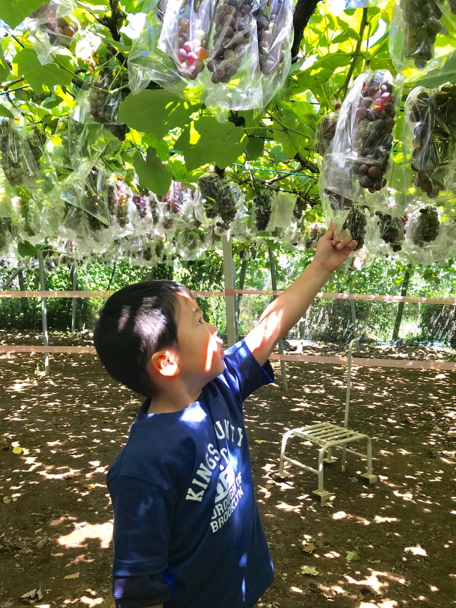 rblog-20180821013425-02.jpg