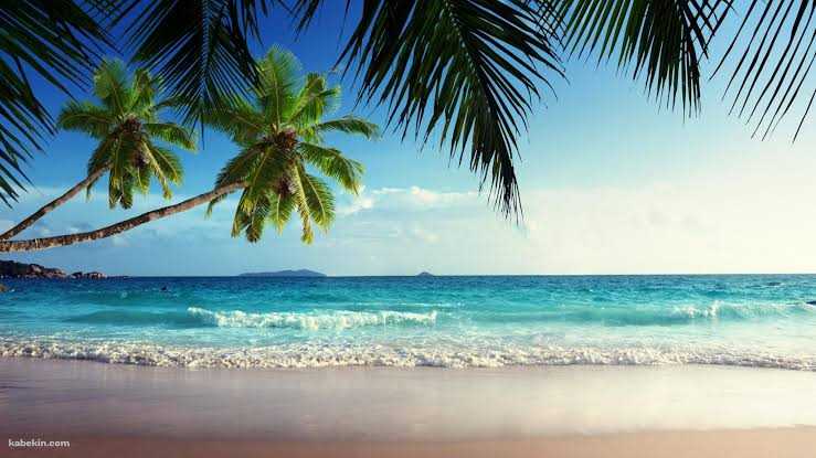 りょうのブログ