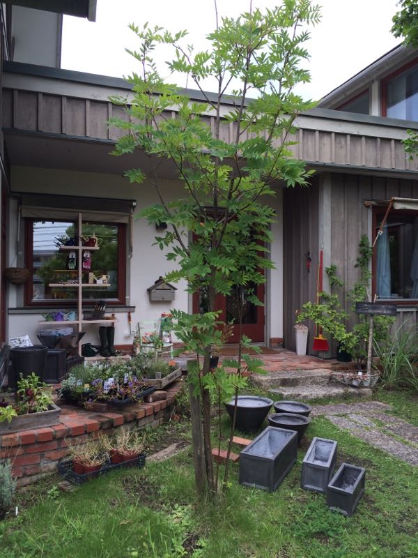 rblog-20150719153646-01.jpg