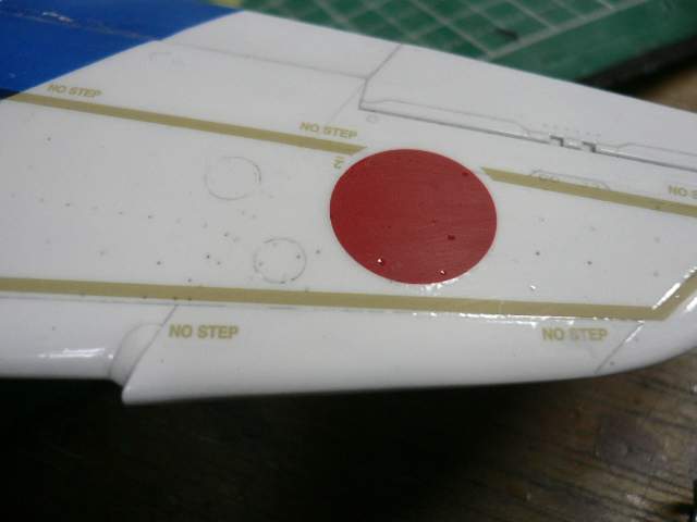 P1050818.jpg