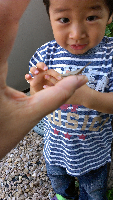 rblog-20131002084237-03.png