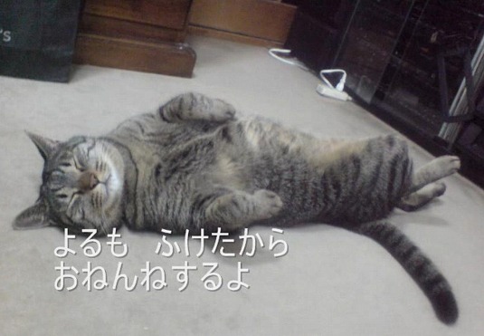 おねんねするよ