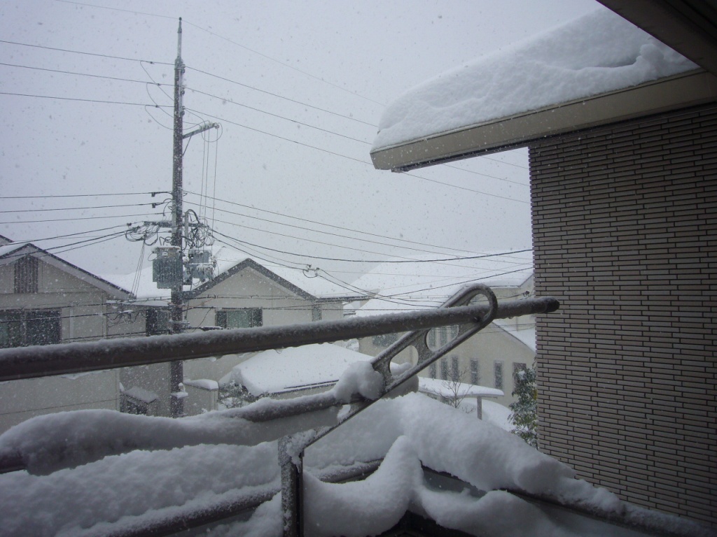 P1170353-.jpg