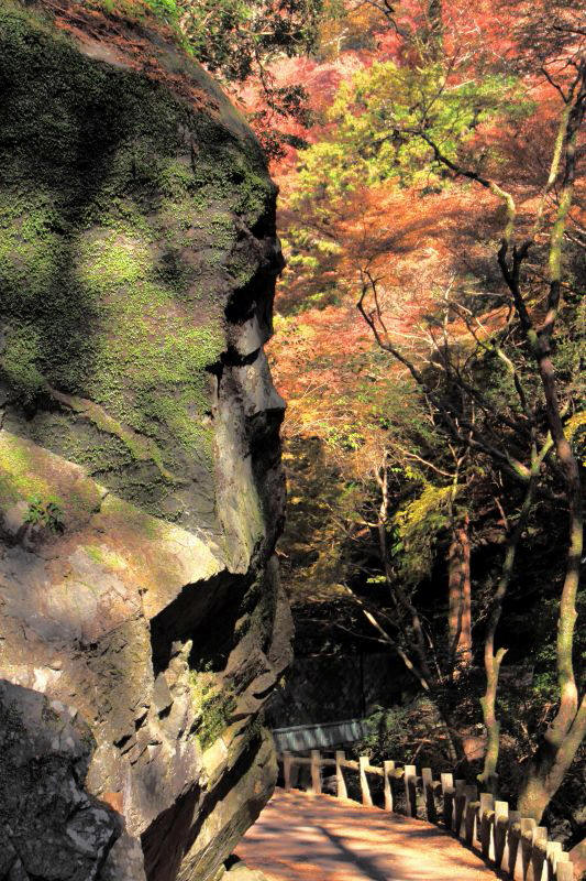 箕面滝道の残り紅葉_008唐人戻り岩.jpg