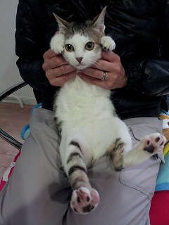 2013-12-17 15.42.57ss.jpg