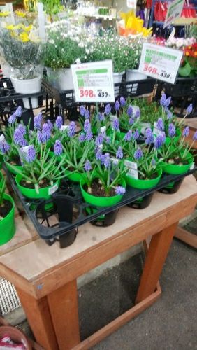 rblog-20180109032851-00.jpg