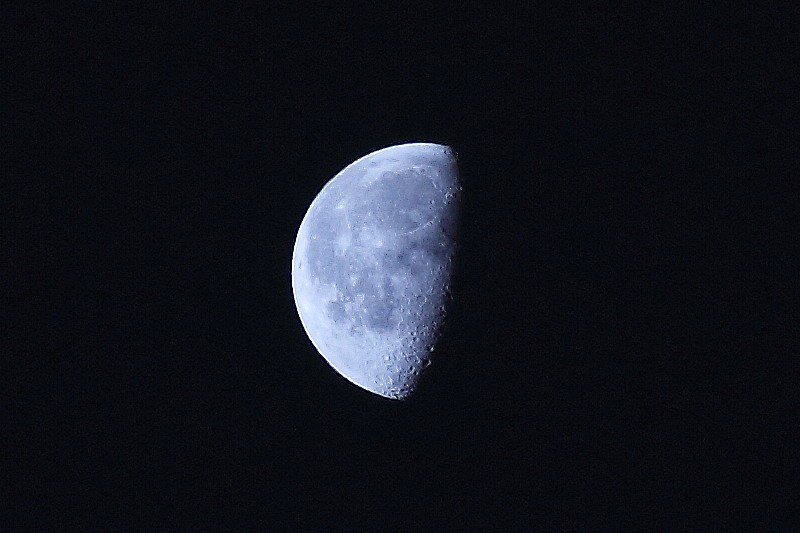 宵月（20.7）.jpg