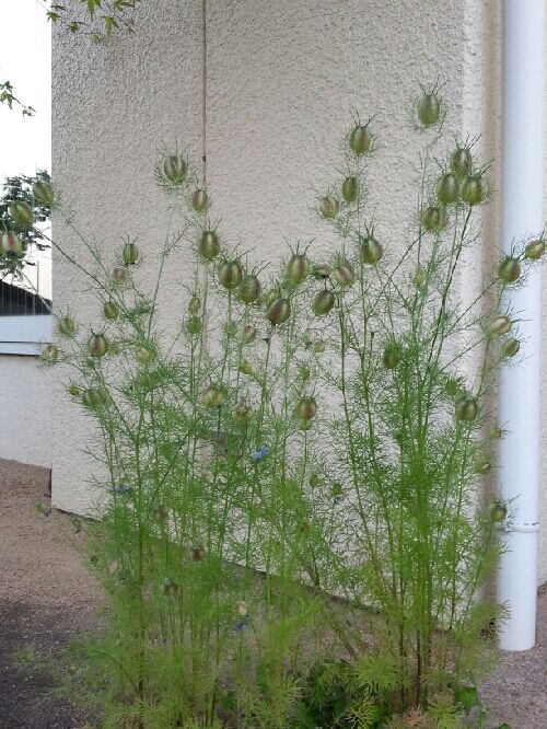 rblog-20150528192830-04.jpg