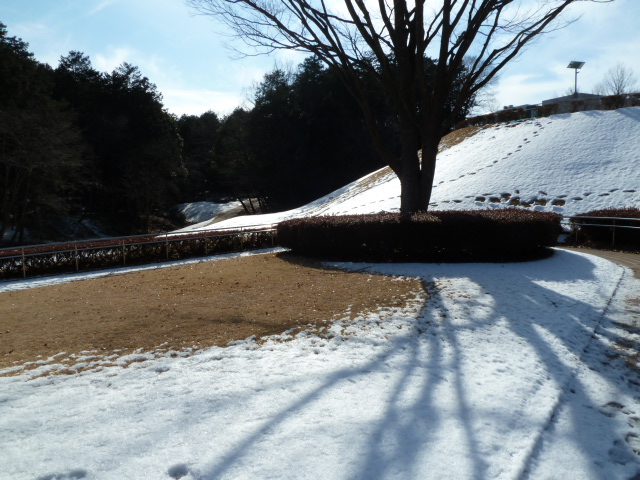 2013.1.17 052.JPG