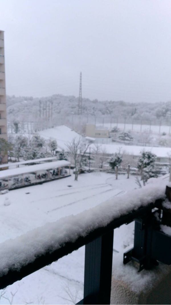 rblog-20170116231557-02.jpg
