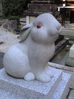 こまうさぎ　ん.jpg