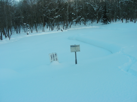 2016-02-06ike'.JPG