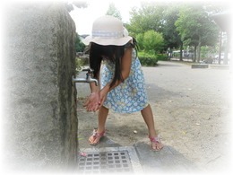 1509野の花2.jpg