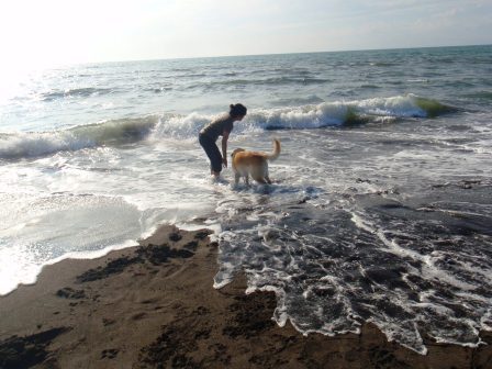 2013石狩浜2.jpg