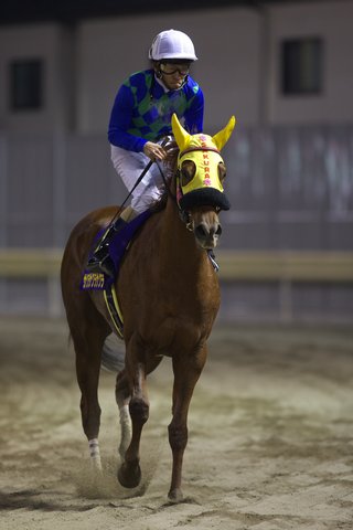 レース後