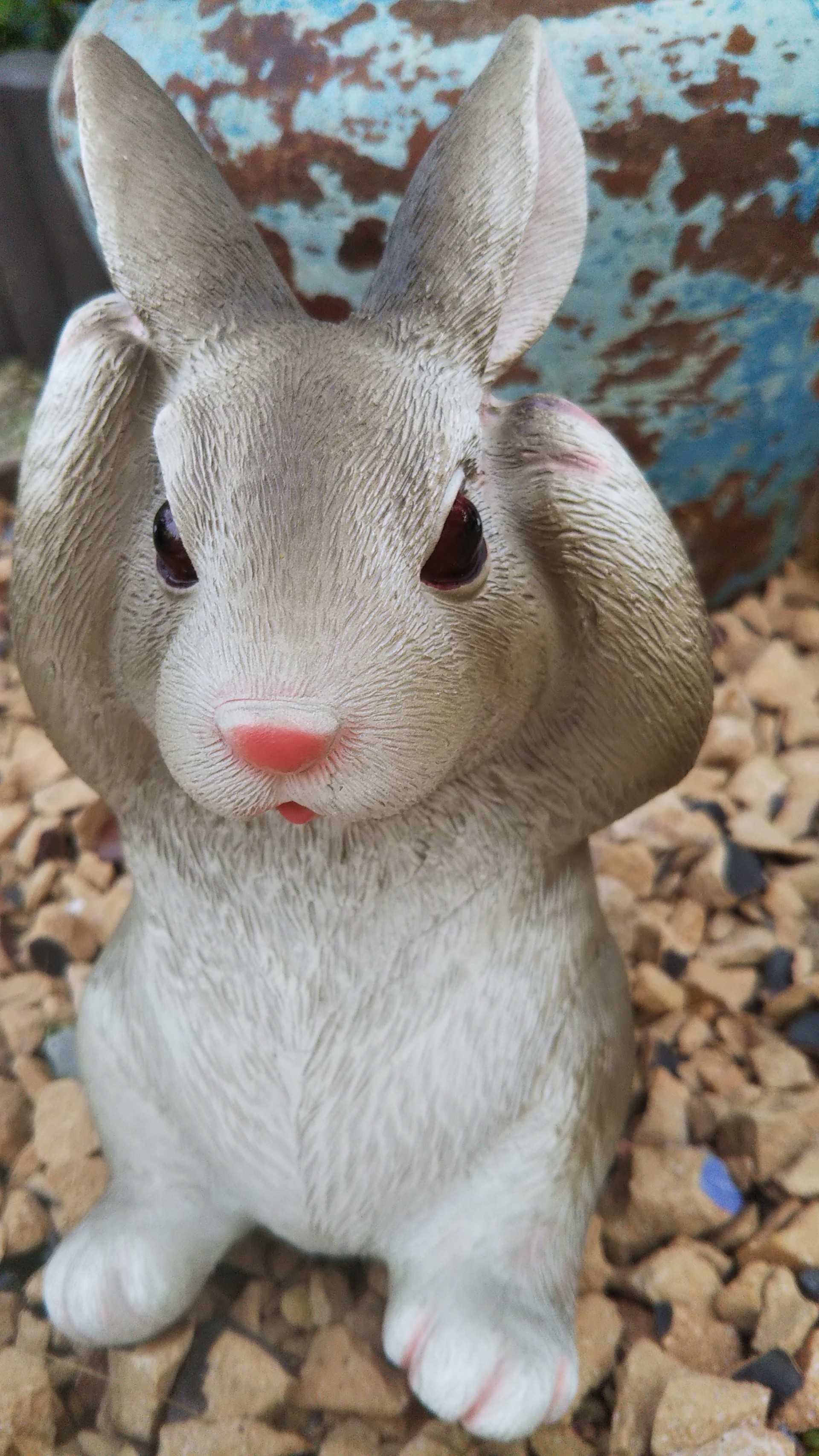 ダイソーの動物オブジェ発見 ๑ت๑ Sana Niwa 楽天ブログ