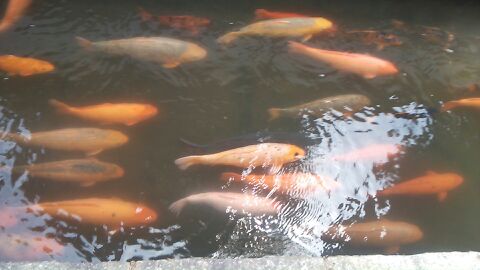 rblog-20140506180541-03.jpg