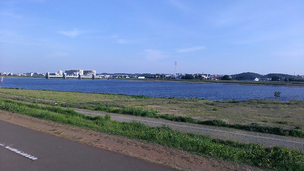 tamaRiver.jpg
