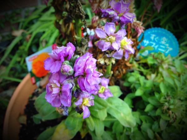 rblog-20141231141248-01.jpg