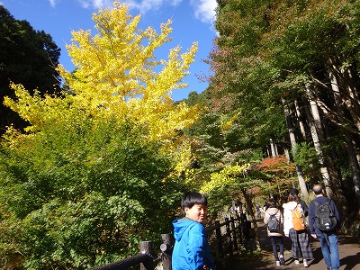DSC04911.jpg