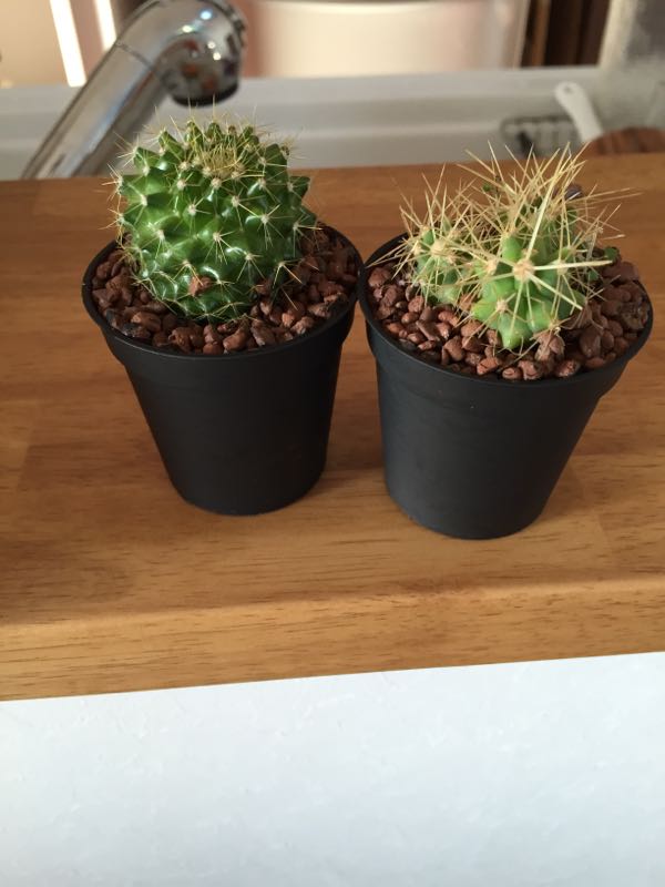 rblog-20150324164132-00.jpg