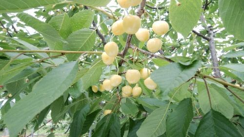 rblog-20180627211558-02.jpg