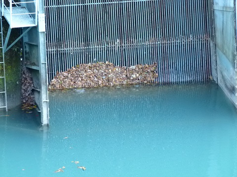 P1120842.JPG