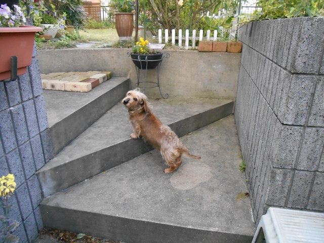 DSCN1573.JPG