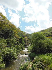 conv0023.JPG