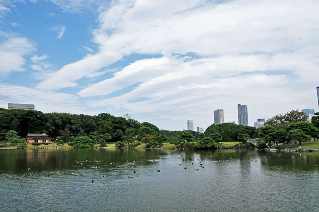 庭園４