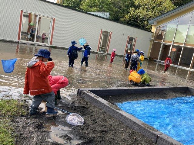 雨上がり 森っこクラブ 楽天ブログ