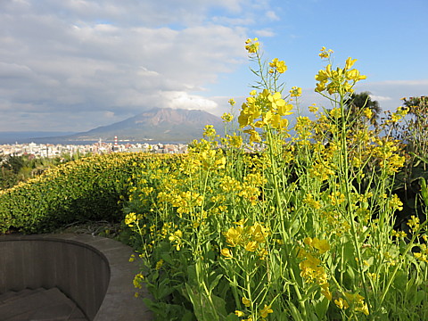 13 IMG_0657.jpg