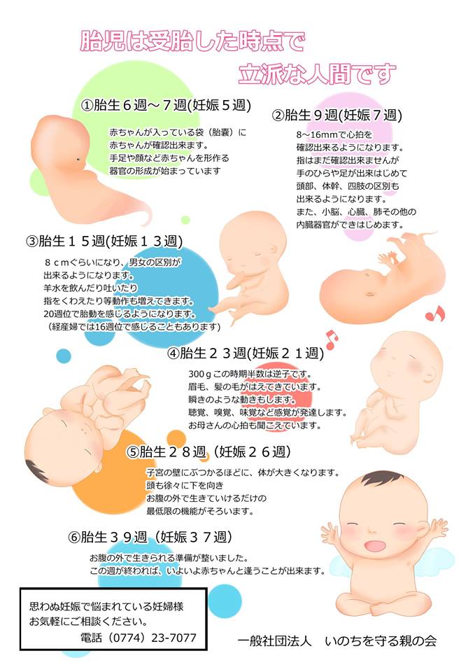 妊娠週数について 出産 堕胎 水子 赤ちゃんの命の話 楽天ブログ
