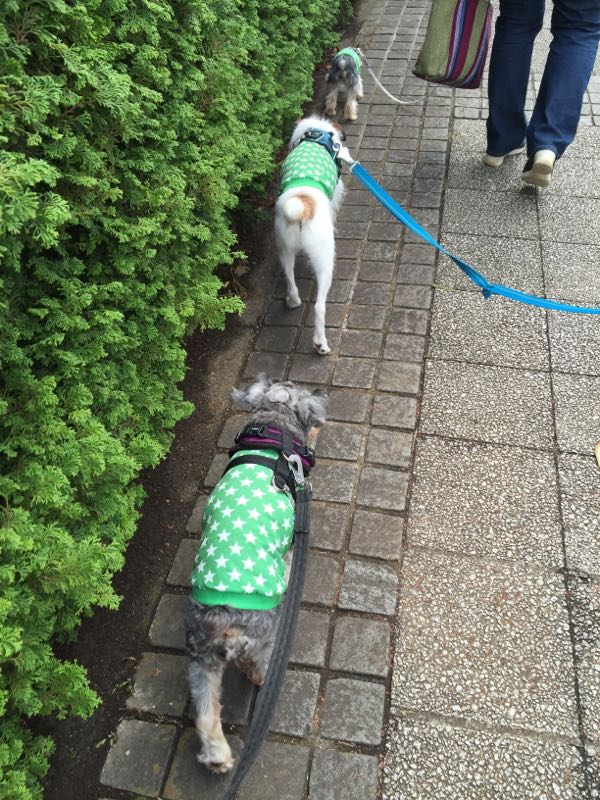 rblog-20160615014740-03.jpg