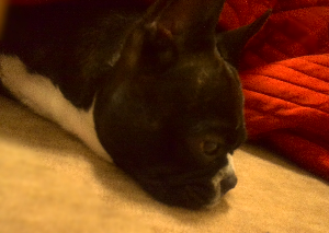 rblog-20131228010546-02.png