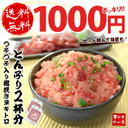 negi2p1000_0919.jpg