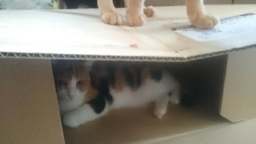 rblog-20170912175925-02.jpg