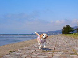 20130429鵜ノ崎海岸