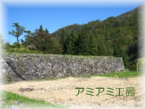 秋山郷_18