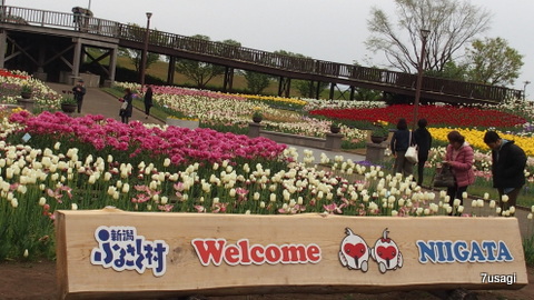 P4300859.JPG